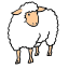 woolly-64.png