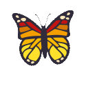 butterfly.gif