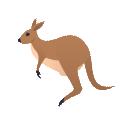 kangaroo.gif
